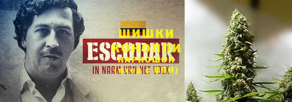 тгк Беломорск